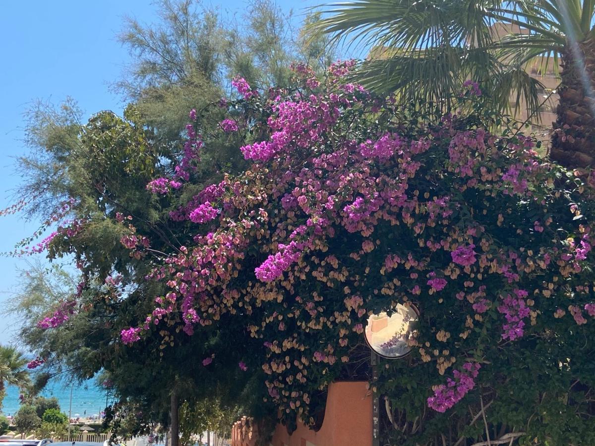 Alicante Apartamento En La Playa Muchavista-San Juan - Marluma Frente Al Mar La Venteta 外观 照片