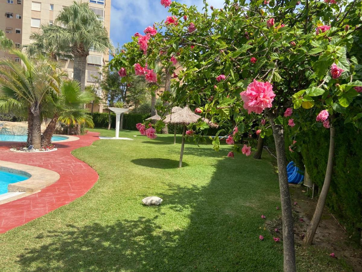 Alicante Apartamento En La Playa Muchavista-San Juan - Marluma Frente Al Mar La Venteta 外观 照片